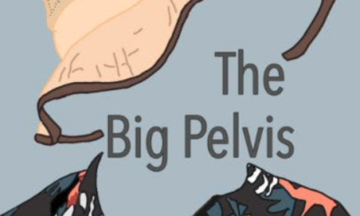 The Big Pelvis